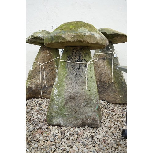 530 - Antique Weathered Stone Staddlestone, 82cm high