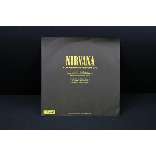 373 - Vinyl - Nirvana - You Know You’re Right - Promo only one sided numbered Ltd edition 266 of 300.  Pri... 