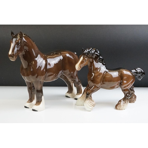 Lot 79        