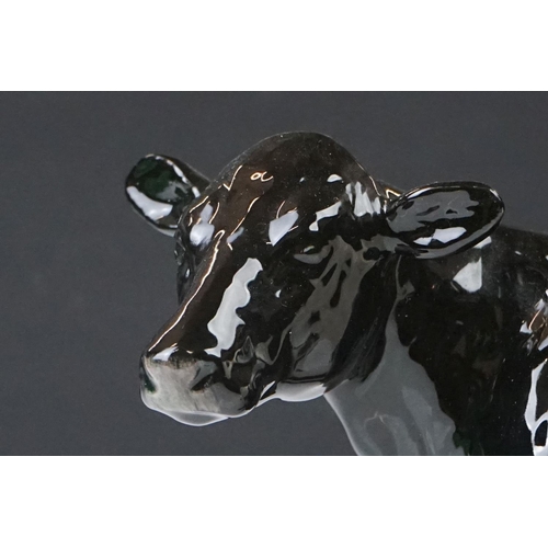 20 - Beswick Belted Galloway Cow, model no. 4113a, boxed