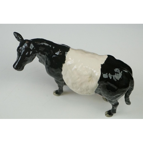 20 - Beswick Belted Galloway Cow, model no. 4113a, boxed