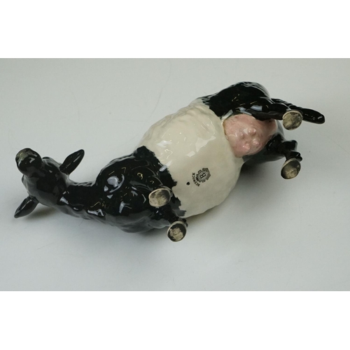 20 - Beswick Belted Galloway Cow, model no. 4113a, boxed