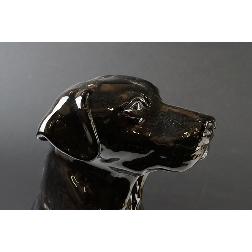 44 - Beswick Fireside Seated Black Labrador, model no. 2314, 34cm high