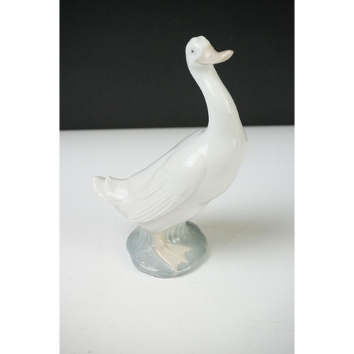 42 - Continental Porcelain ' Augustus Rex ' Large Coffee Can and Saucer decorated with panels of courting... 