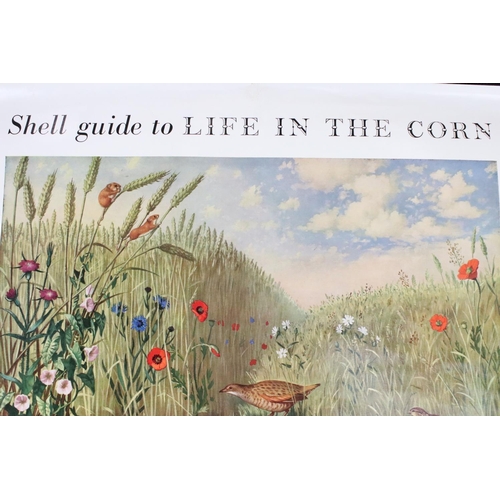 146 - Advertising / Educational - 1950's Hanging Wall Poster ' Shell Guide to Life by the Road ' engraved ... 