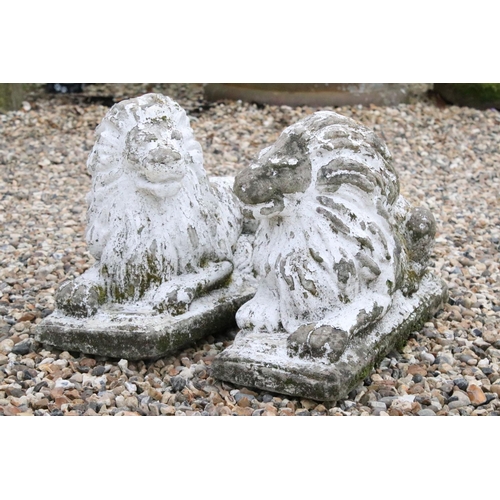 41 - Pair of Composite Stone Garden Lions, 55cm long