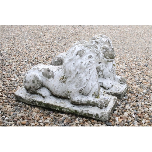 41 - Pair of Composite Stone Garden Lions, 55cm long