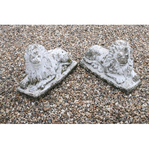 41 - Pair of Composite Stone Garden Lions, 55cm long