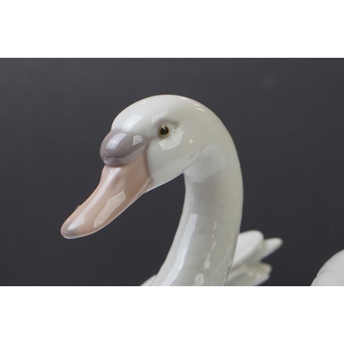 25 - Lladro Porcelain Swan Figure (no. 5231 - 18cm high), together with a Border Fine Arts sculpture of a... 