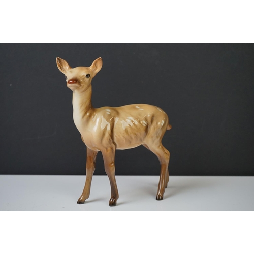 39 - Three Beswick Deer figures to include 981 Stag (19cm high), 999 Doe and 1000 Fawn