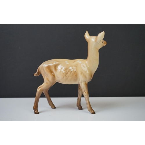 39 - Three Beswick Deer figures to include 981 Stag (19cm high), 999 Doe and 1000 Fawn