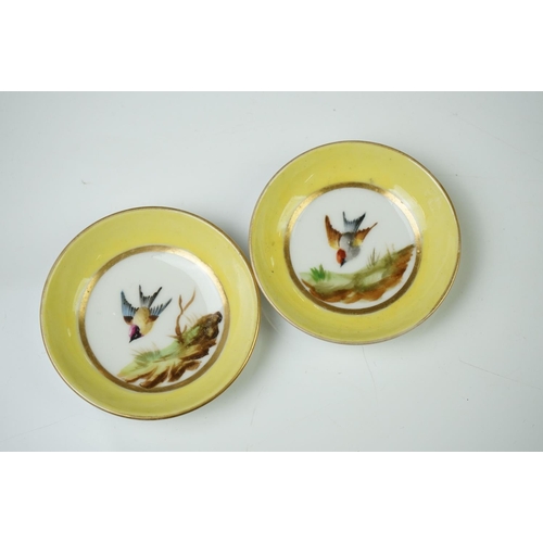 47 - Late 19th / Early 20th Century Miniature Cabaret Tea Set for Two, with hand painted ornithological p... 