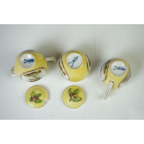 47 - Late 19th / Early 20th Century Miniature Cabaret Tea Set for Two, with hand painted ornithological p... 