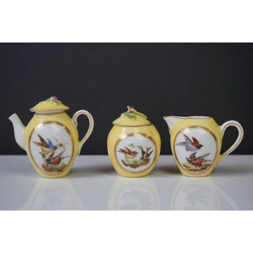 47 - Late 19th / Early 20th Century Miniature Cabaret Tea Set for Two, with hand painted ornithological p... 