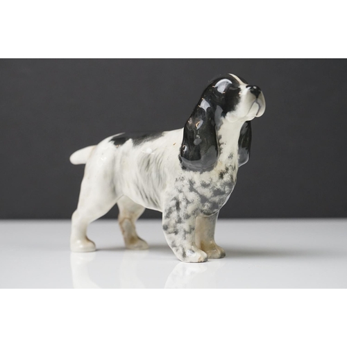 7 - Beswick Fireside Seated Black Labrador, gloss finish, model no. 2314 (33.5cm high), plus a Beswick C... 