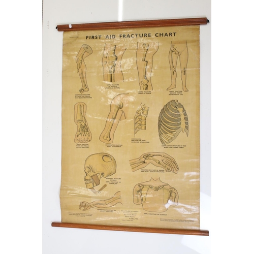 461 - Adam, Rouilly & Company Anatomical Poster of ' First Aid Fracture Chart ' from original drawings by ... 