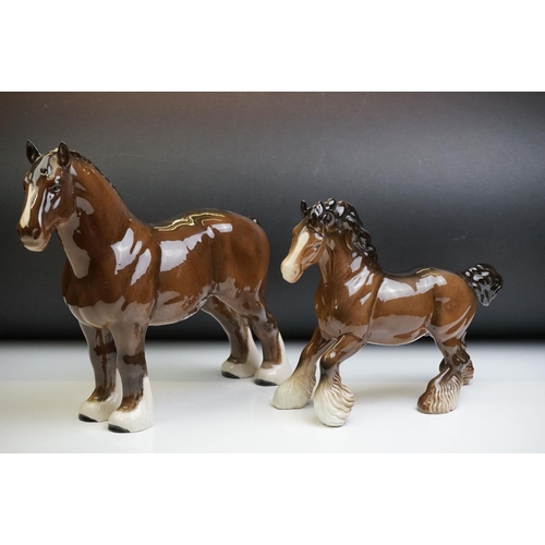 61 - Two Beswick porcelain shire horse figures in brown gloss (tallest measures 26.5cm high)