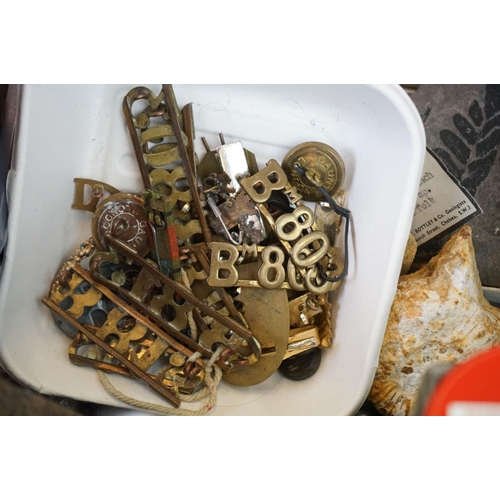 292 - A large group of mixed collectables to include antique bottles, fossils, keys, militaria and a Sony ... 