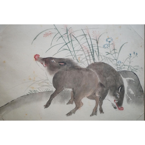 488 - Framed and glazed Chinese watercolour of wild boar in their habitat