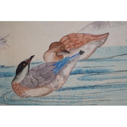 497 - Gokusaishiki Zushiki, a signed Japanese illustration study of a pair of ducks in a river scene, 25cm... 