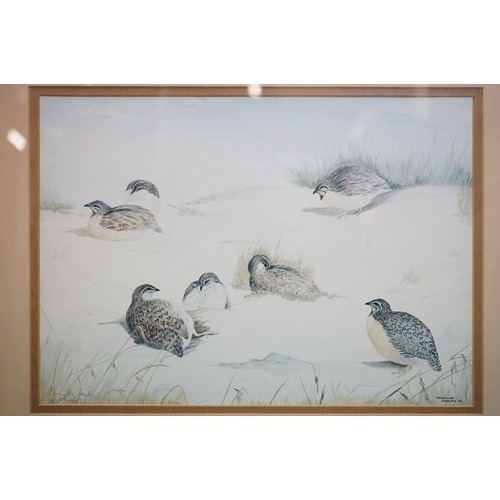 501 - Pair of Priscilla Henley Signed Limited Edition Prints of Partridges and Quail Birds, no's.84/400, 2... 