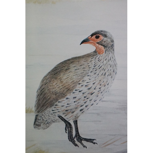 501 - Pair of Priscilla Henley Signed Limited Edition Prints of Partridges and Quail Birds, no's.84/400, 2... 