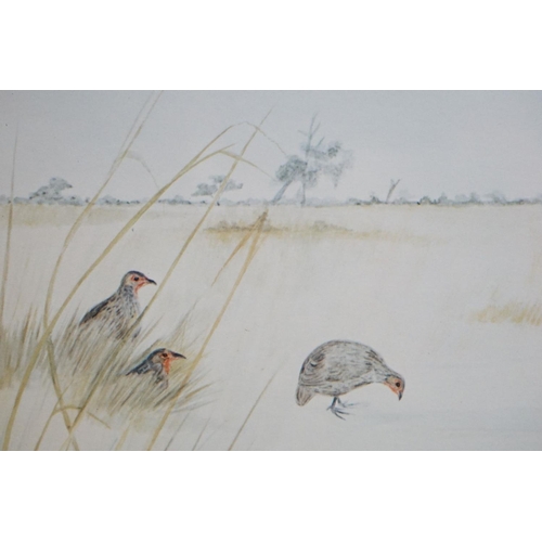 501 - Pair of Priscilla Henley Signed Limited Edition Prints of Partridges and Quail Birds, no's.84/400, 2... 