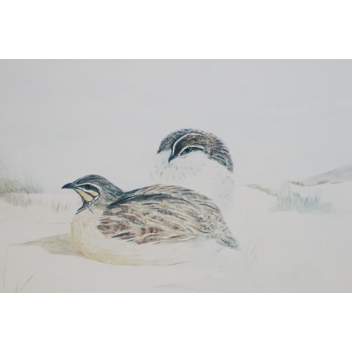 501 - Pair of Priscilla Henley Signed Limited Edition Prints of Partridges and Quail Birds, no's.84/400, 2... 