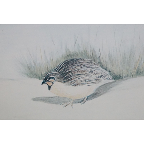 501 - Pair of Priscilla Henley Signed Limited Edition Prints of Partridges and Quail Birds, no's.84/400, 2... 