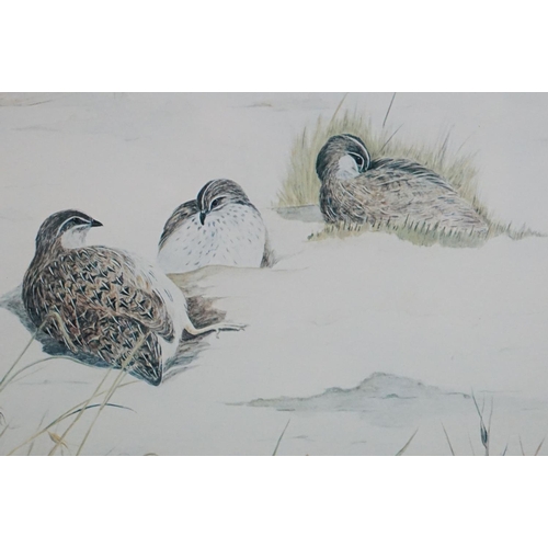 501 - Pair of Priscilla Henley Signed Limited Edition Prints of Partridges and Quail Birds, no's.84/400, 2... 