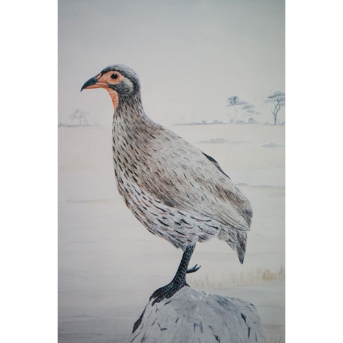 501 - Pair of Priscilla Henley Signed Limited Edition Prints of Partridges and Quail Birds, no's.84/400, 2... 