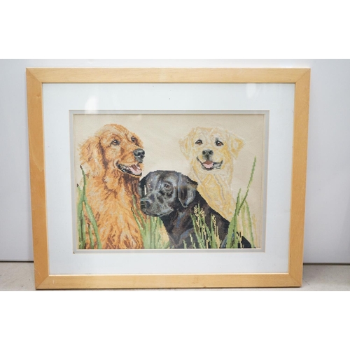 509 - Three framed artwork studies of Labrador dogs, to include a pastel study by Mabel Gear