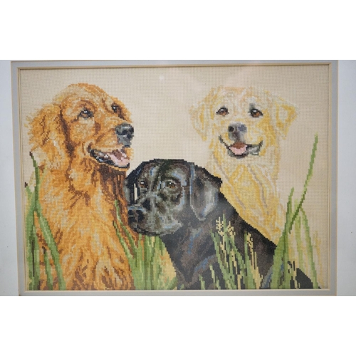 509 - Three framed artwork studies of Labrador dogs, to include a pastel study by Mabel Gear