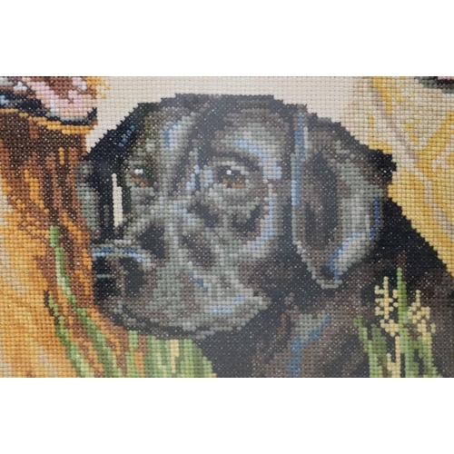 509 - Three framed artwork studies of Labrador dogs, to include a pastel study by Mabel Gear