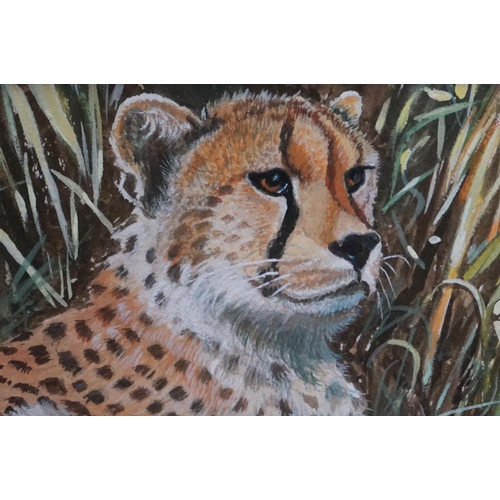 510 - Mollie Everett Field ( British born 1939 ) watercolour / gouache, a fine study of a cheetah in natur... 