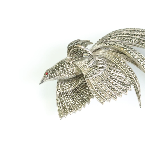 34 - Marcasite white metal exotic bird brooch, the body, wings and tail feathers set with rose cut diamon... 