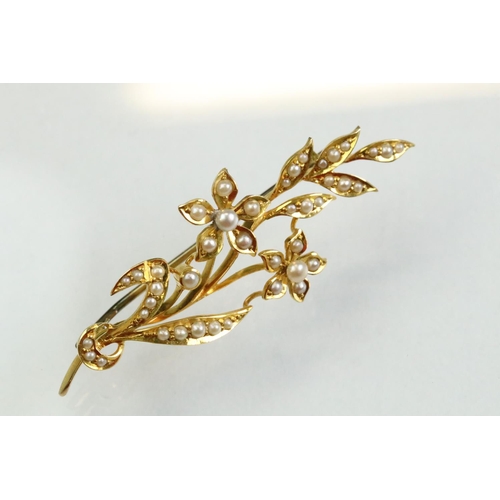 50 - Edwardian pearl 15ct yellow gold spray brooch, graduated split seed pearls, hinged pin and loop broo... 