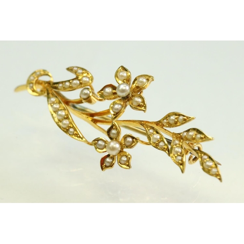 50 - Edwardian pearl 15ct yellow gold spray brooch, graduated split seed pearls, hinged pin and loop broo... 