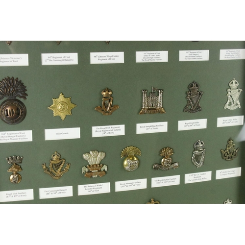 173 - A Framed And Glazed Collection Of British Military Cap Badges To Include The 18th Regiment of Foot, ... 