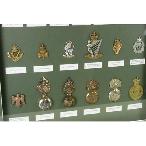 173 - A Framed And Glazed Collection Of British Military Cap Badges To Include The 18th Regiment of Foot, ... 