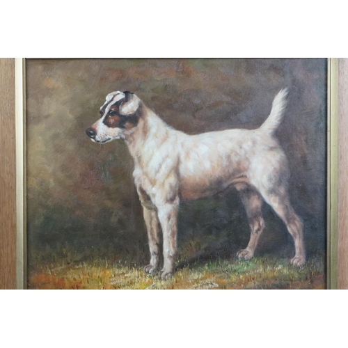 463 - Oak framed oil painting study of a Jack Russell Terrier dog