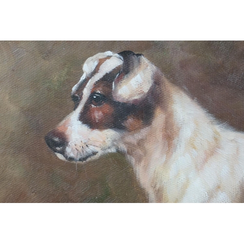 463 - Oak framed oil painting study of a Jack Russell Terrier dog