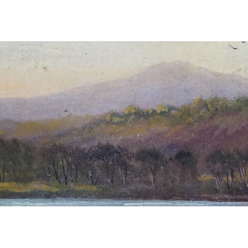 479 - D Haynes, Late 19th / Early 20th century Landscape Oil Painting on Canvas, signed lower right, 30cm ... 