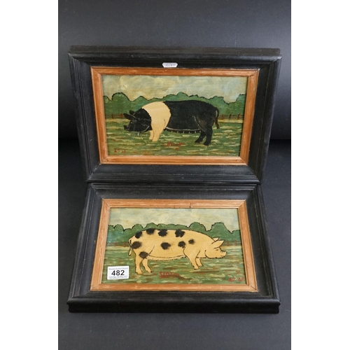 482 - Pair of oils on board of pigs, one titled ' Nelly ' & the other ' Spot, ' (2)