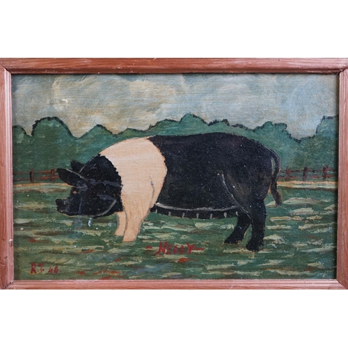 482 - Pair of oils on board of pigs, one titled ' Nelly ' & the other ' Spot, ' (2)