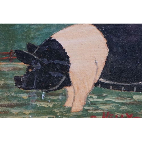 482 - Pair of oils on board of pigs, one titled ' Nelly ' & the other ' Spot, ' (2)