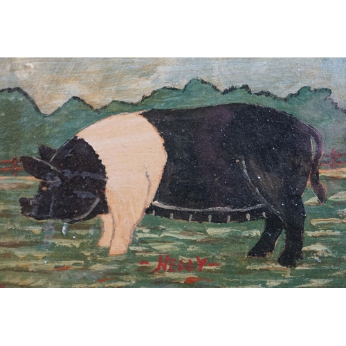 482 - Pair of oils on board of pigs, one titled ' Nelly ' & the other ' Spot, ' (2)