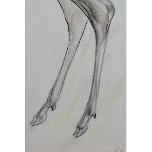 485 - J R Skeaping, Pencil and Wash of a Deer, signed lower right, 25cm x 30cm, framed and glazed