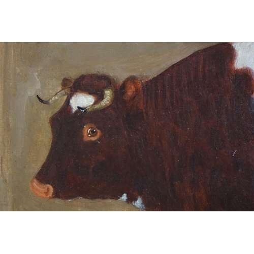 493 - After Thomas Weaver, Naive Oil on Canvas of a Bull stood in a Barn, signed lower left, 49cm x 63cm, ... 