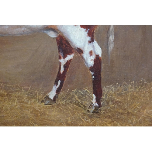 493 - After Thomas Weaver, Naive Oil on Canvas of a Bull stood in a Barn, signed lower left, 49cm x 63cm, ... 